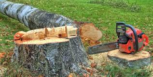 Best Firewood Processing and Delivery  in Covington, WA