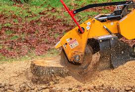 Best Hazardous Tree Removal  in Covington, WA